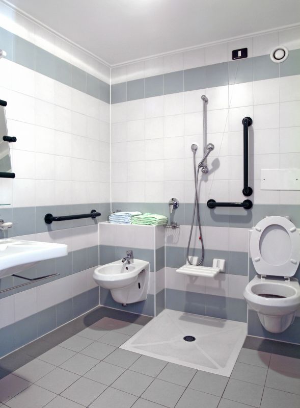 Bathroom Accessibility detail